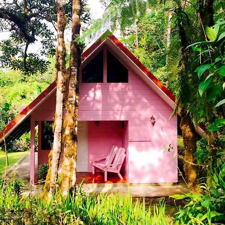 Cabanas Las Orquideas Zapotal  Exteriör bild
