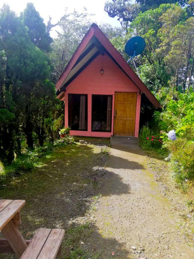 Cabanas Las Orquideas Zapotal  Rum bild
