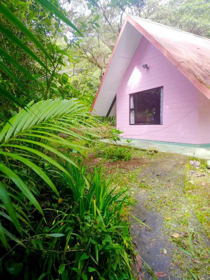 Cabanas Las Orquideas Zapotal  Rum bild