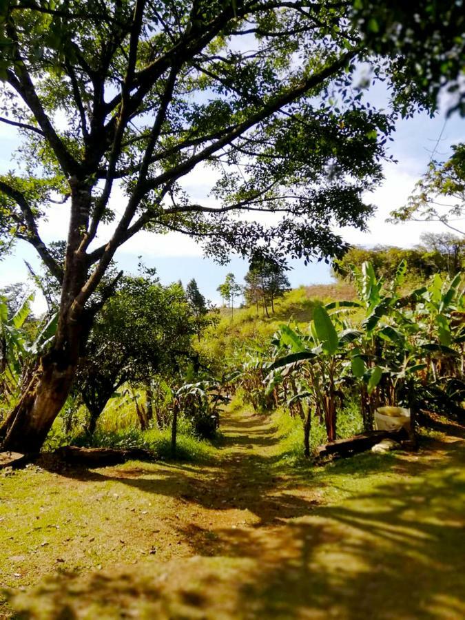Cabanas Las Orquideas Zapotal  Exteriör bild
