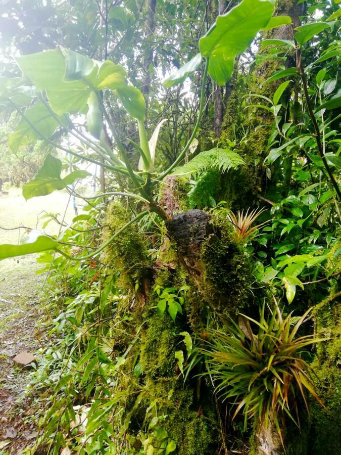 Cabanas Las Orquideas Zapotal  Exteriör bild