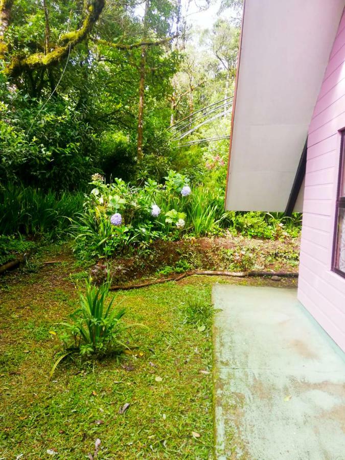 Cabanas Las Orquideas Zapotal  Exteriör bild